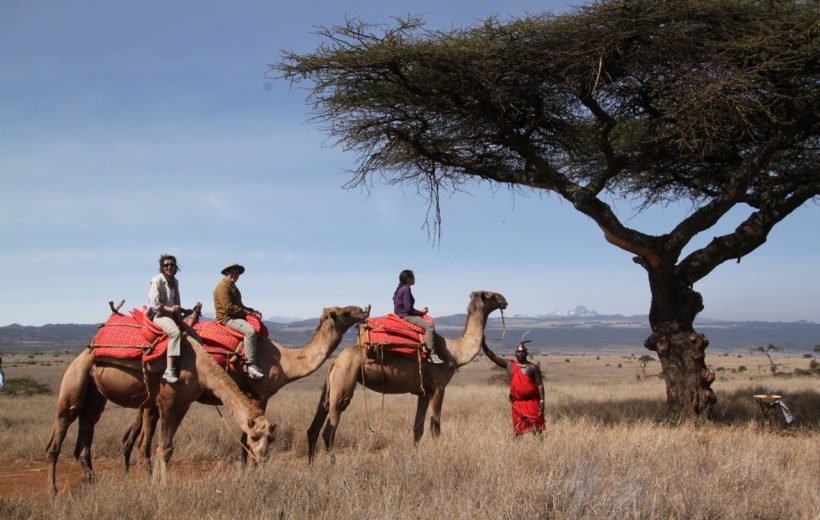 Camel Safari Across the Wilderness of Kenya