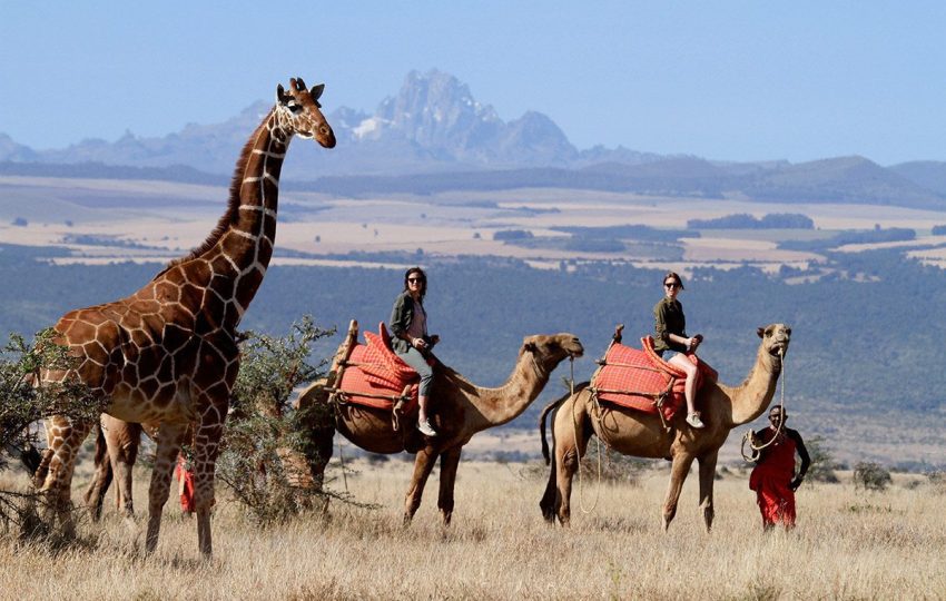 Camel Safari Kirisia