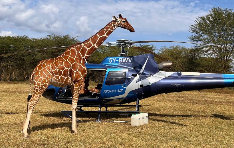 Kenya Helicopter Safari
